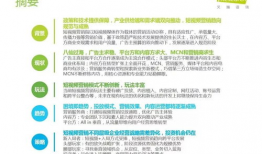 短视频营销策划,打造爆款内容的秘籍解析